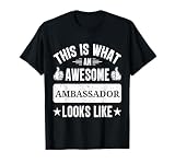 Fun Ambassadors apparel Unisex Adults Retro Gift T-Shirt Black V-Neck Short Sleeve Small Classic Fit Vintage Letter Print