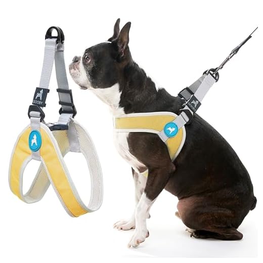 Gooby Simple Step in III Harness - Yellow, Medium - Small Dog Harness with Scratch Resistant Outer Vest - Soft Inner Mesh Harness for Small, Medium Dogs