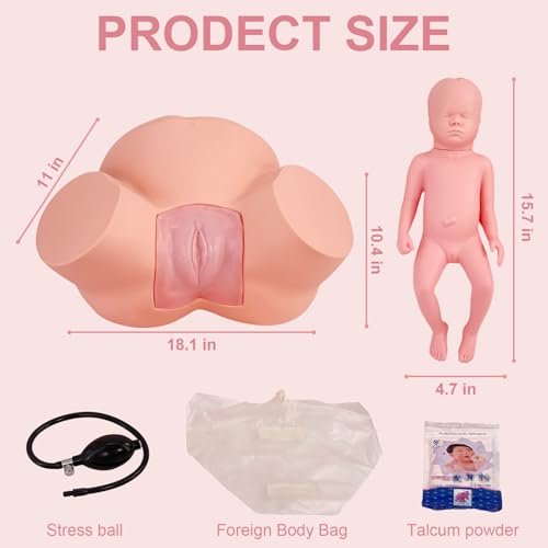 Image of Birth Midwifery Training Model Simulator, Life Size Midwifery Mannequin Childbirth Demonstration Obstetrics Gynecology Normal Abnormal Fetal Positions Delivery Maternity Manikin for Teaching Medical