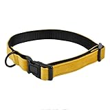 Dimensions : L. 70 cm Collier pour Chien Cosy Golden 70cm Jaune