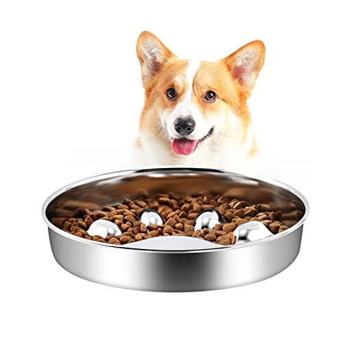 Slow Feeder Dog Bowl Basic, Premium 304 Stainless Steel, 25Oz Water Capacity, Pet Cat Food Bowls For Small & Medium Sized Dogs #TOP4