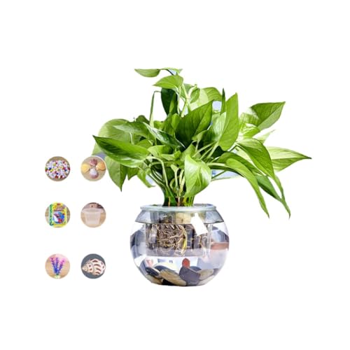 Apaeofl  ͔| e KX KXe CeA ی^ KXv^[ ԕr KX k͔||bg   k͔| qVX ͔||bg ({[{J[Xg[5_Zbg{A̓oXPbg,25cm)