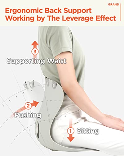 Curble Chair [Adult] Ergonomic Chair Back Support, Lumbar Support For Good Posture Correction And Back Pain Relief, Perfect For Office Chair, Floor Seat, And Work From Home, Patented (Grey) #TOP2