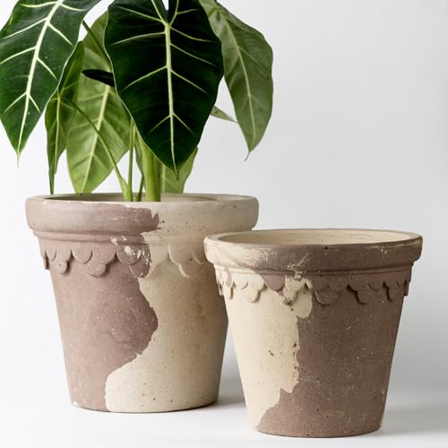Nipots Set of 2 Terracotta Planters with Drainage, Water-Absorbing Clay with Breathable Design for Healthy Roots, 8 + 9 Inch Deep Clay Planters for Indoor and Outdoor Gardening, Latte