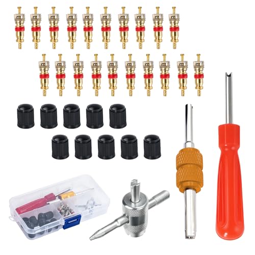 EKUWU 33 PCS Tire Valve Stem Removal Tool Set, Tire