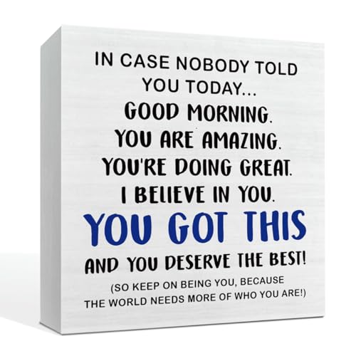 You Got This Signs, Motivational Desk Decor, Funny Office Decor, Wood Box Sign Decor, Rustic Wood Sign, Home Office Decoration, Positive Thinking Decoration Art