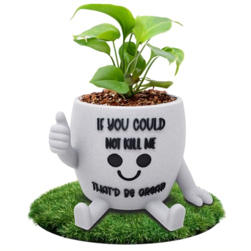 Funny Face Indoor Head Planter Pot, 3D Printed, Unique Small Succulent Flower Pot, Cute Cactus Planter, Indoor Home Decor, Office Desk Plant Pot, Novelty Gardening Gift Set