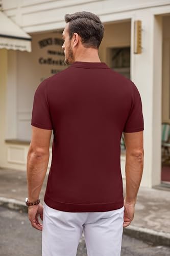 COOFANDY Camisa polo masculina de malha casual manga curta abotoada camisa polo clássica de golfe, V