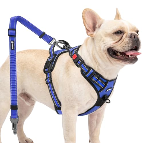 Joytale No Pull Dog Harness and Car Seat Belt Set, Padded 3-Buckle Easy On for Small Dogs, Reflective Vest with Front Clip & Control Handle for Stress-Free Walks & Safe Travel, Navy Blue, S
