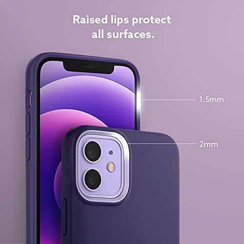 Image of CASEOLOGY Spigen Nano Pop for iPhone 12 Pro /12 Case, iPhone 12 Pro /12 Back Cover - Grape Purple