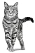 Royal Canin Expert Adult | 2 kg | Alleinfuttermittel für Katzen | Erhalt des Idealgewichts