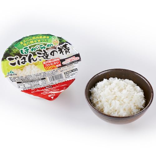パックご飯 数量限定 JA金沢市 ほがらかごはん 20個入り 白米