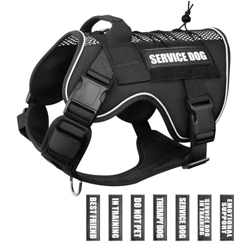 WINSEE Service Dog in TrainingbVn[lX10ybgpb`tA\tgGAbVʋC^NeBJhbO[xXgA˃~^[ybgxXg UnCLOp ^