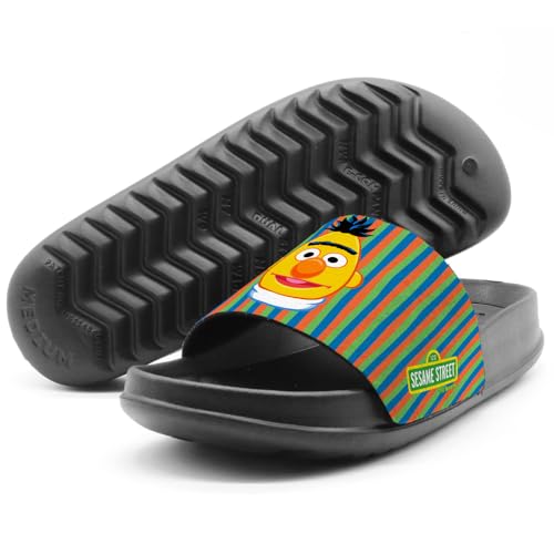 Popfunk Sesame Street Bert Ernie Face Unisex Adult Slides Sandals Officially Licensed Hypd Slydr Switch™4
