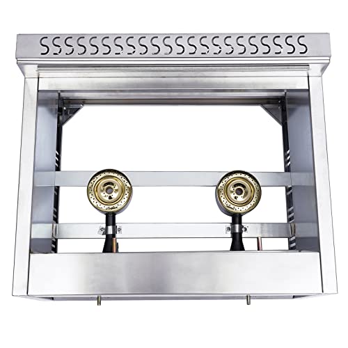 Professional Deep Fryer,Dual Tank Stainless Steel Chicken Chips Fryer With Basket Scoop For Commercial Restaurant Countertop Family Food Cooking 6L 22.4X18.50X13.80Inch #TOP6