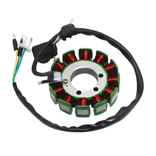 Bobine de stator d'allumage résout ratés moteur 55539104000 pour EX300 EC250