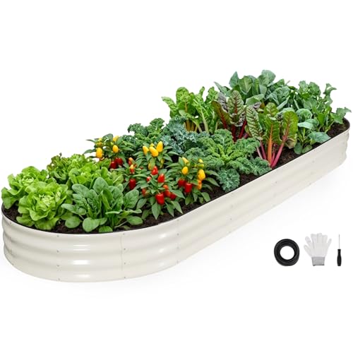 INNO STAGE Galvanized Raised Garden Bed Outdoor, 12x4x1FT Oval Planter Box