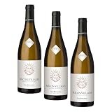 JEAN BOUCHARD MACON VILLAGES (Lot de 3)...