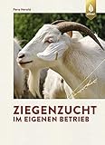 landwirtschaftliche betriebe kaufen niedersachsen  Ziegenzucht im eigenen Betrieb