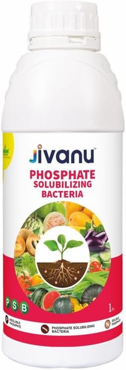 Jivanu PSB (Phosphate Solubilizing Bacteria – PSB) Liquid (1L) Bio Fertilizers For Agriculture, Garden, Soil Fertility, and Plant Nutrition.