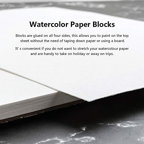 Tampone in carta acquerello Paul Rubens, qualità