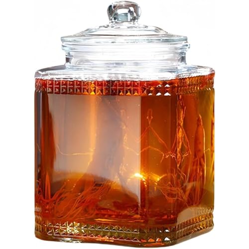 ITMEAThNT[o[KX3L 5L 8L␅hNsb`[ۗsb`[֌teʃvCW[Xr[t[cWe햧KX̎rKXrA?r (6L)