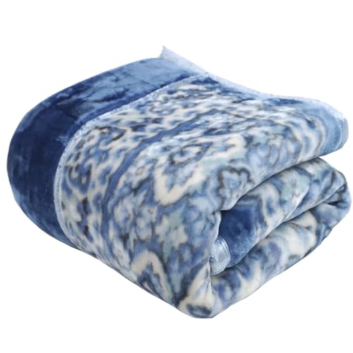  X[p[{[^Cv ѕz VO 2킹  ܕt 2.5kg (bJWS4258Au[)