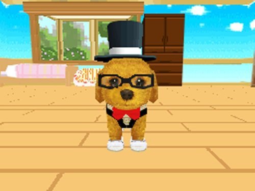 Petz Dogz Fashion - Nintendo DS (Renewed)