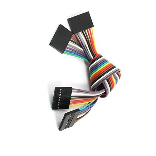 Cable conector 8P-8P femenino 20cm Aexit miniatura 1