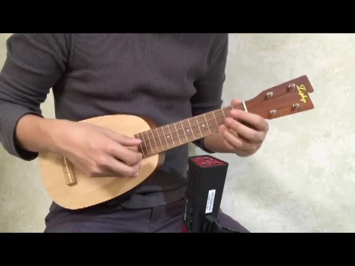 Amazon.co.jp: 【ZEPHYR】 ソプラノ ウクレレ SP-15 (キャット) : 楽器