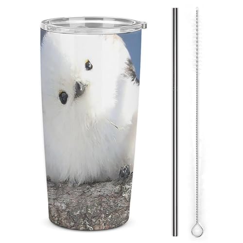 ԗpRbv V}GiK  ԗp|bg ԃJbv R[q[Jbv ۉRbv EH[^[{g ^fM d\  RrjJbv ԗp^u[ J[pi  ԗp e g/ƒp 蕨