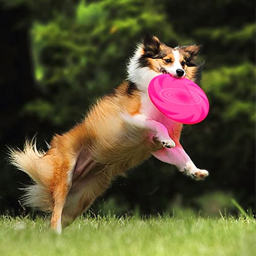 Liwein 10 Pezzi Frisbee per Cani, Frisbee di Gomma...