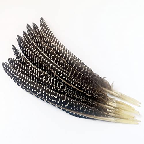 Natural Guinea Fowl Feather Spotted Pheasant Feathers For Craft Floral Arrangements Wedding Home Party Decorations (10 Pcs) #TOP1