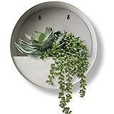 Modern Home Round Living Wall...