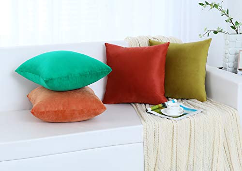 Jeneoo Set Of 2 Cozy Soft Velvet Rust Throw Pillow Covers For Sofa Couch, Decorative Solid Square Cushion Cases For Bedroom Car (16 X 16 Inches, Burnt Orange) #TOP5