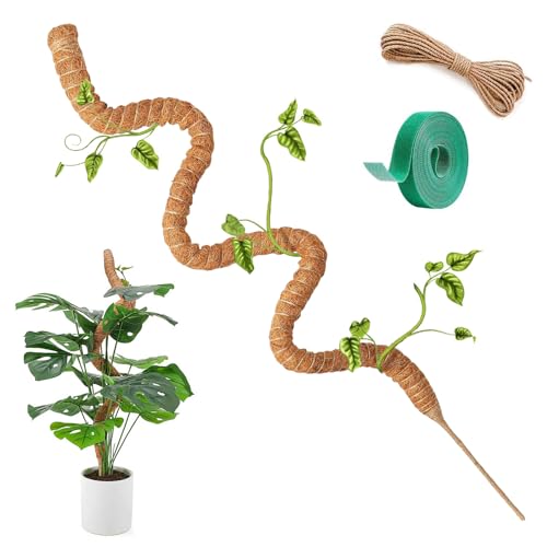 Forbabe 120cm Flexibler Moosstab für Monstera, Monstera Rankhilfe Biegsame Pflanzenstütze für Indoor, Handgemachte Coco Coir Pole Rankhilfe Unterstützung für Creeper Wachsen Nach Oben