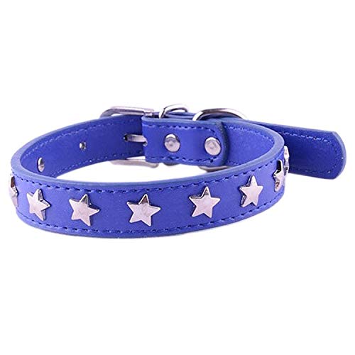 Collier en cuir bleu pour chien modèle Hollywood avec tour de cou réglable 34-45 cm