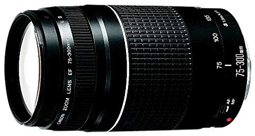 Canon 75-300mm F4-5.6 III EF Lens (Non-USM) by Canon - Used condition - US$119.00