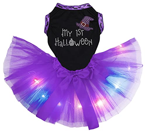 Robe de sorcière pour chien d'Halloween d'exception aux reflets LED L