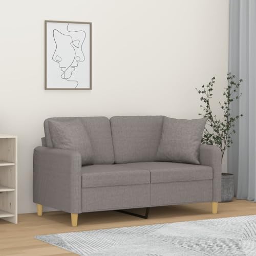 Juroupi Sofá de 2 plazas con Cojines Sofa Jardin Exterior Muebles de Jardin Sofa terraza Exterior Tela Gris Claro 120 cm - 3200901