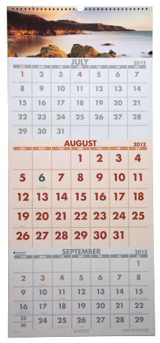 Image of AT-A-GLANCE Visual Organizer Recycled Scenic Three-Month Wall Calendar, Large Wall, 2012 (DMW503-28)