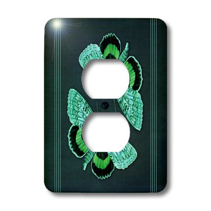 Cache-sortie texturé plaque d'interrupteur mural design 3dRose LSP_53911_6 - 3
