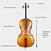 4/4 Full Size Cello Set,Professional Handmade Solid Wood Acoustic Cello,Solid Wood Cello Kit,with Portable Bag,Bow,Rosin,Musical Instrument for Beginners & Adults (Retro)