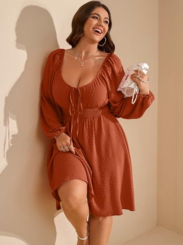 RWJ Women's 2025 Fall Wedding Guest Dresses Long Sleeve Smocked Square Neck Swiss Dot Party Plus Size Mini Dress3