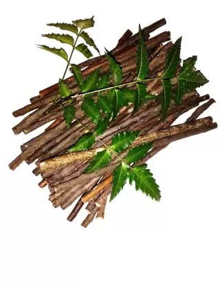 DADFirm Ayurvedic Organic Natural Neem Datun Sticks Tooth Brush- pack of 30-7 inch long (Ayurvetic, Indian Toothbrush) (Medium) (B0BXH1TYXM) Amazon Price History, Amazon Price Tracker