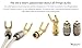 Nakamichi FanLock Excel Series 24k Gold Plated Spade Connector Banana Plug 10 AWG - 18 AWG Gauge Size 4mm for Speakers Amplifier Hi-Fi Home Theatre Wire Cable Quick Connector, 4 Pcs (2-Pairs)