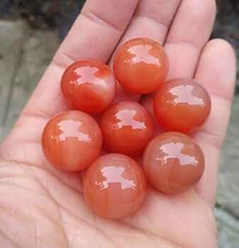 413KLkwpK5L._AC_UF350,