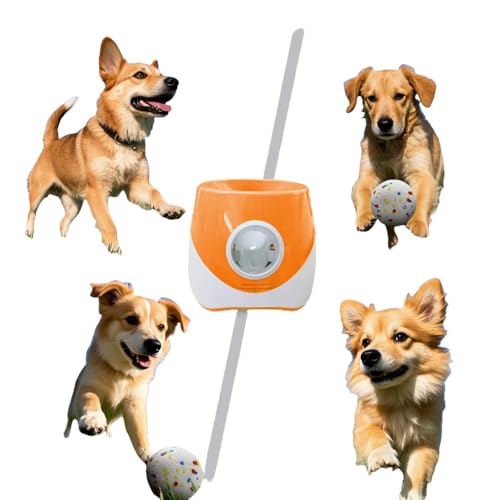 BtcFu{[`[A^ђ^pvX`bN{[`[A{[`[C^NeBuybg{[@OpQ[ (IWF)