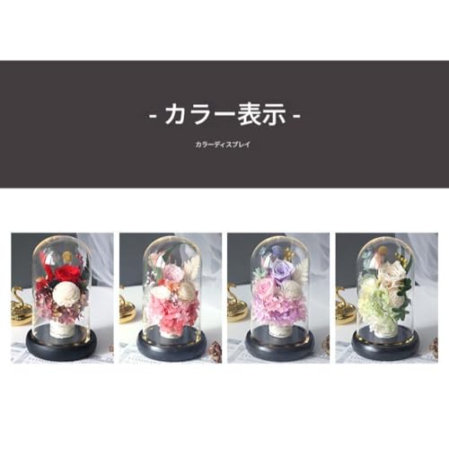 GEBYUI プリザーブドフラワー 2点セット LEDライト付き ガラスドーム インテリアフラワー 枯れない花 ロマンチックギフト 結婚祝い 記念日プレゼント 女性 妻 母 贈り物 室内装飾 レインボー装飾 永遠の愛 (1 アイテム,グリーン) [5]