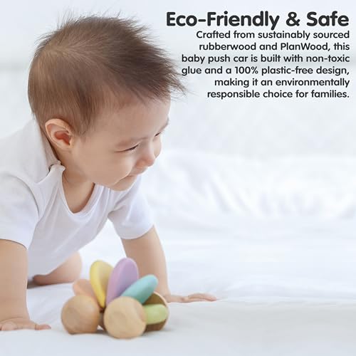 Image of PlanToys Wooden Baby Push Toy Car | Montessori Toy for Infants | Wooden Baby Toy with Flexible Body | Sensory & Motor Skill Development Toy for 6+ Months